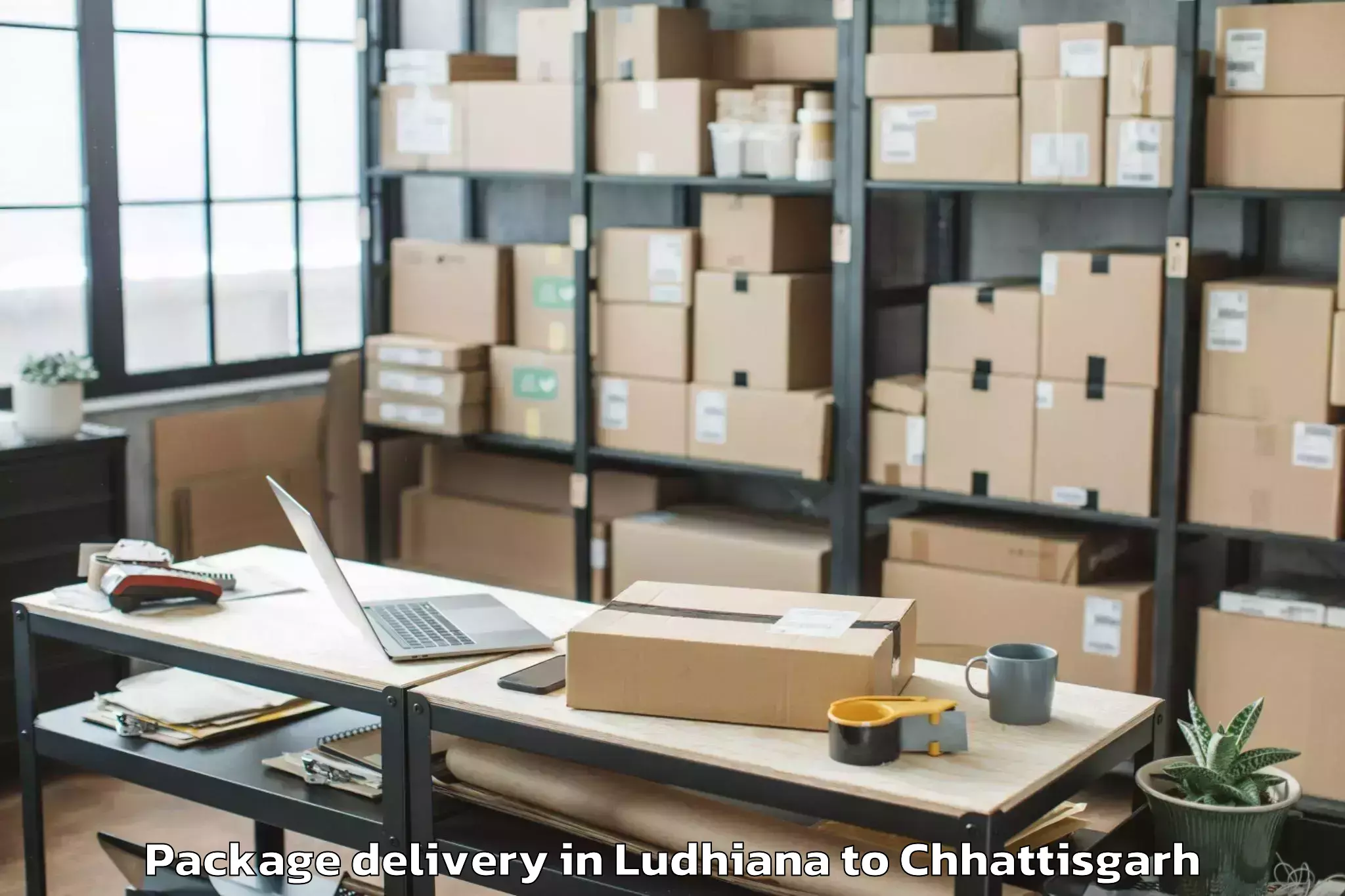 Affordable Ludhiana to Jashpurnagar Package Delivery